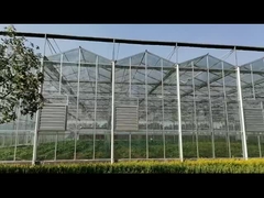 গ্লাস গ্রিনহাউস