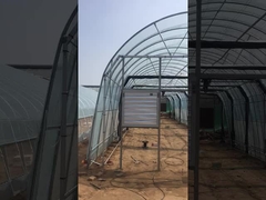 ব্ল্যাকআউট গ্রিনহাউস