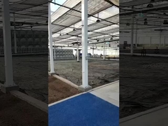 ভেনলো পিসি শীট গ্রিনহাউস